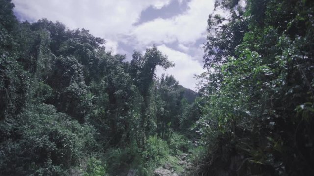 SLOT MOTION: starting angled up at the sky then tilting and panning down to reveal Mango Waterfall in Adjuntas, Puerto Rico.