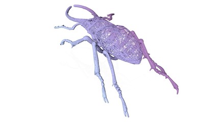 3d rendering of an artistic animal with reflection isolated on white background