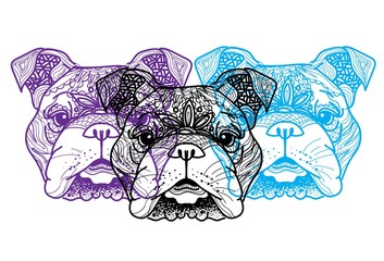The head of a dog. English bulldog. Drawing manually in vintage style. Meditative coloring. Coloring for children. Arrows, points, patterns.