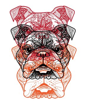 The head of a dog. English bulldog. Drawing manually in vintage style. Meditative coloring. Coloring for children. Arrows, points, patterns.
