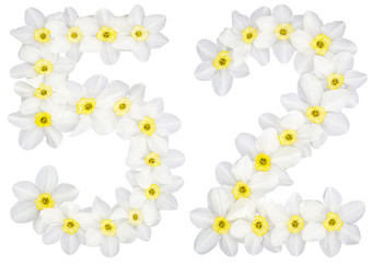 Numeral 52, fifty two, from natural white flowers of Daffodil (narcissus), isolated on white background