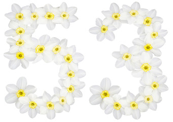 Numeral 53, fifty three, from natural white flowers of Daffodil (narcissus), isolated on white background
