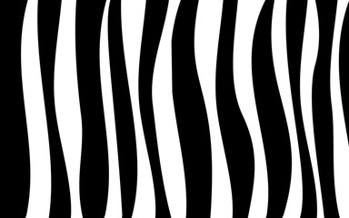 abstract black and white background, zebra texture, line wallpaper 