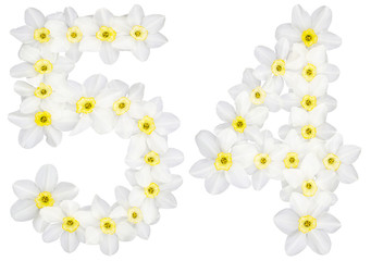 Numeral 54, fifty four, from natural white flowers of Daffodil (narcissus), isolated on white...