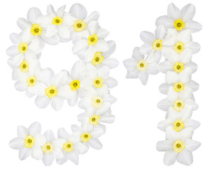 Numeral 91, ninety one, from natural white flowers of Daffodil (narcissus), isolated on white background