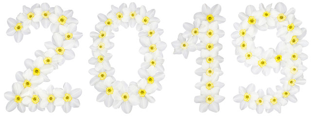 Inscription 2019, from natural white flowers of Daffodil (narcissus), isolated on white background