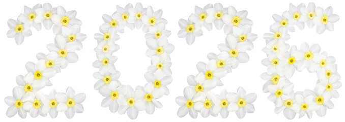 Inscription 2026, from natural white flowers of Daffodil (narcissus), isolated on white background