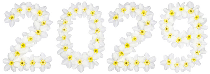 Inscription 2029, from natural white flowers of Daffodil (narcissus), isolated on white background