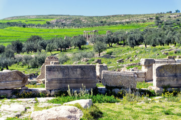 Ruins of Columns with Juno Temple in Dougga, Tunisia