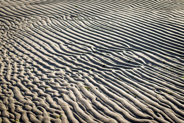 Syltliebe Wattenmeer