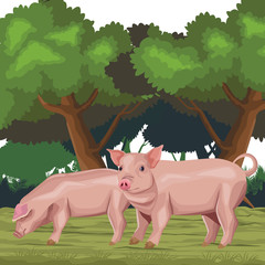 pig icon cartoon