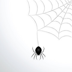 Black spider with cobwebs on a white background.