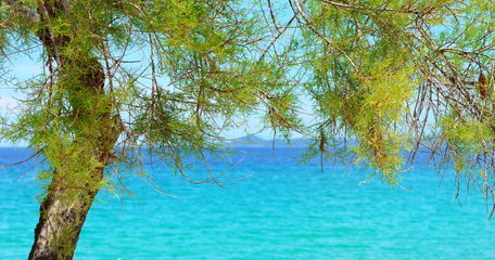  Seascape, Ierissos beach, Chalkidiki, Greece