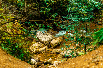 rock in the autumn forest near the green thickets