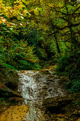 the wilderness of the cliff of the mountain river