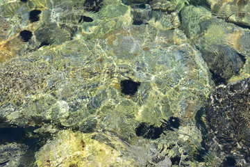 Texture of water. Abstract image of top view of shiny wave of clear sea water over sand beach, for beautiful background decoration of summer time. Game of light on the sea, sand beach . sea urchins.