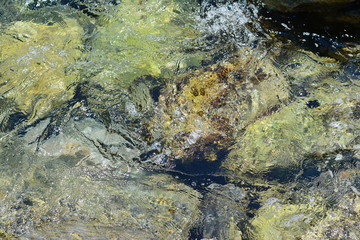 Texture of water. Abstract image of top view of shiny wave of clear sea water over sand beach, for beautiful background decoration of summer time. Game of light on the sea, sand beach . sea urchins.