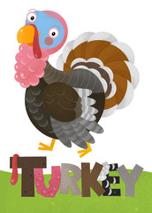 cartoon scene with happy turkey on white background with name sign of animal - illustration for children