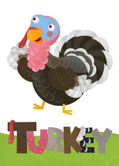 cartoon scene with happy turkey on white background with name sign of animal - illustration for children