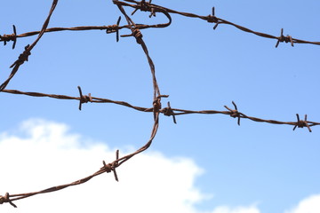 Rusty barbed wire and blue sky background.