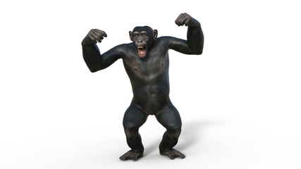 Chimpanzee monkey, primate ape screaming, wild animal isolated on white background, 3D illustration