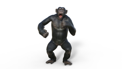 Chimpanzee monkey, primate ape shrieking, wild animal isolated on white background, 3D illustration