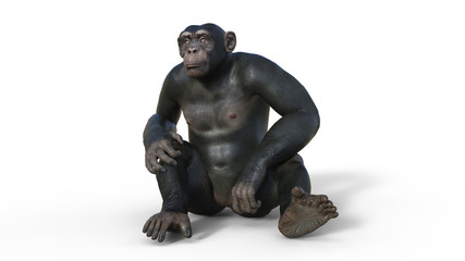 Fototapeta na wymiar Chimpanzee monkey, primate ape sitting on ground, wild animal isolated on white background, 3D illustration