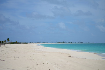 Fototapeta na wymiar beach on the caribbean sea