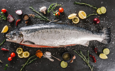 Fresh raw salmon red fish with spices, lemon, pepper, rosemary on dark stone background. Creative...