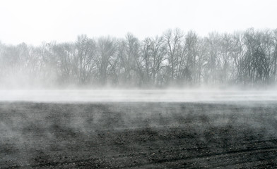 Spring, the evaporation of water from the arable land rises forming a mist over the field