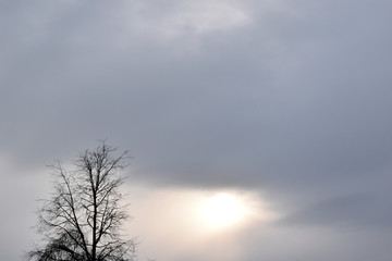 The sun in the cloudy sky