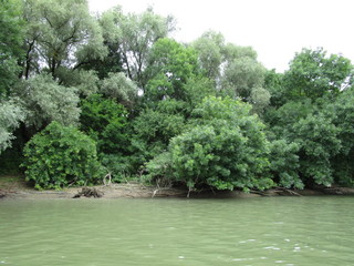 Danube Delta