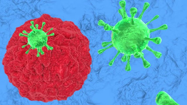 3d animation of the absorption of viruses by immune cell in the human body.