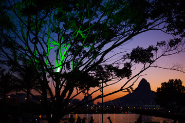 Big tree, Dois Irmãos Hill and sunset in Rio de Janeiro