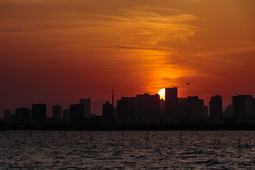 日没と東京湾の夕日