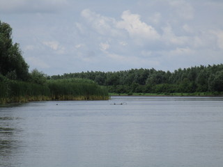 Danube Delta