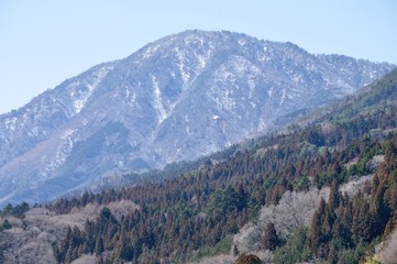 Obraz premium 春山の御正体山