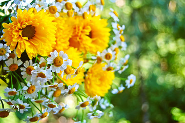 Bouquet of yellow Heliopsis helianthoides flowers and white camomile at blurred background with bokeh.