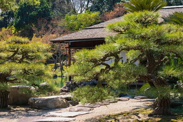 Fototapeta na wymiar Stepping stones and nice formed pine trees in the japanese garden ,Shikoku,Japan