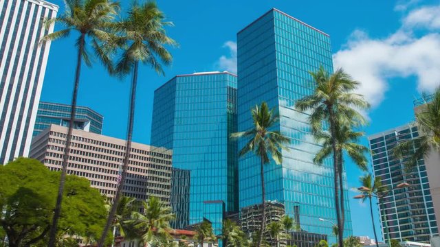4k Hyperlapse ( time-lapse in motion ) clip of business buildings made of glass and palm trees, blue sky and white clouds reflections