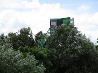 Danube Delta