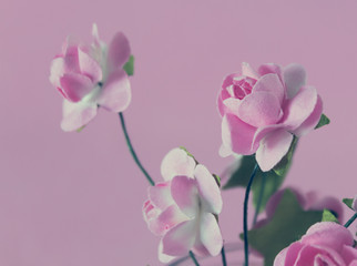 Fototapeta na wymiar Delicate and decorative flower on pink background