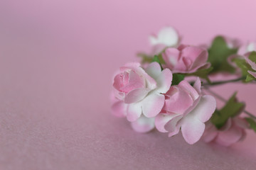 Fototapeta na wymiar Delicate and decorative flower frame on pink background