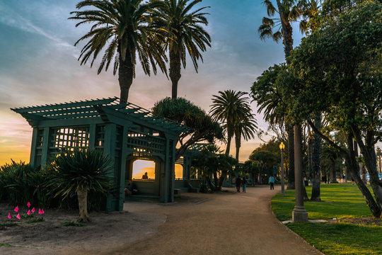 Palm Tree Sunset