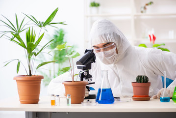 Biotechnology chemist working in lab