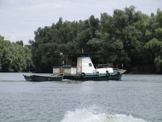 Danube Delta