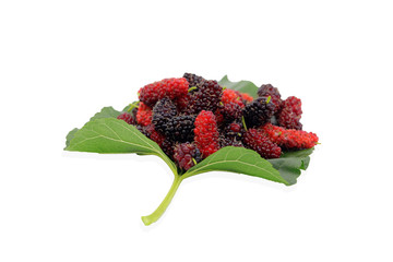 mulberries fruit and mulberry leaf isolated on white background .This have clipping path.