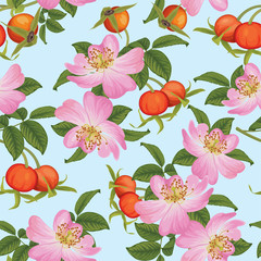 Seamless pattern of rose hip flower with seed on background template. Vector set of element for advertising, banner, packaging design of rosehip oil products.
