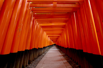 Torii Gate at Fushimi Inari Shrine ,Kyoto ,Japan