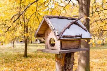 wooden birdhouse in the autumn park. nature.